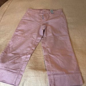 Purpley pink velveteen cropped pants